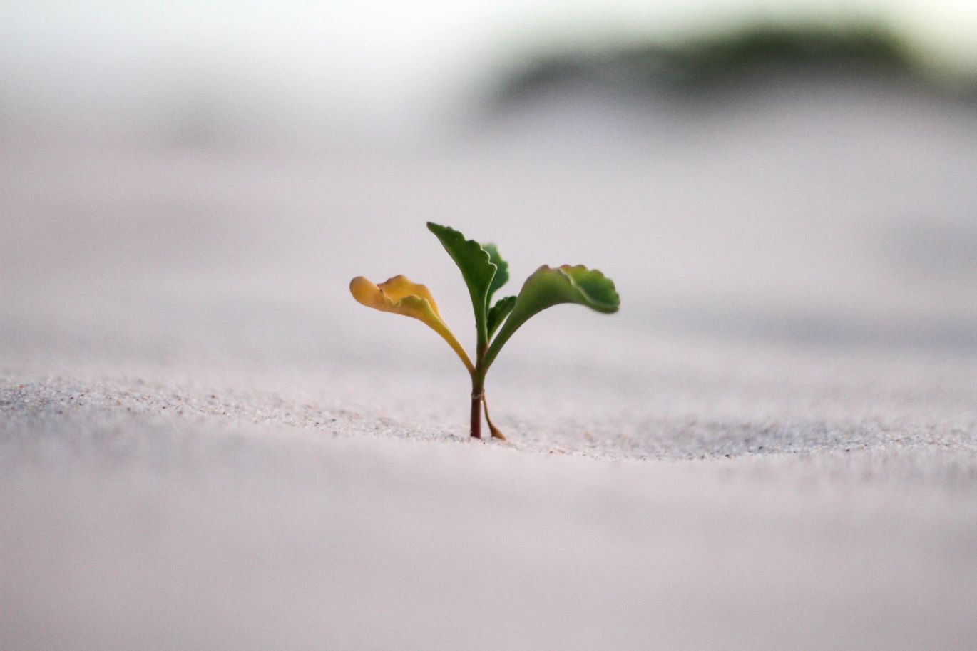 11 Best Growth Hacking Marketers in SF