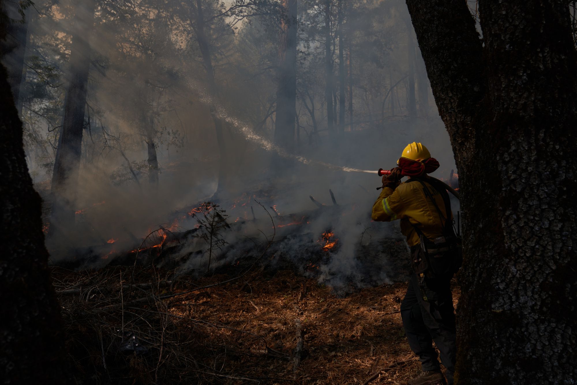 Day Around the Bay: Dixie Fire Nears 50% Containment