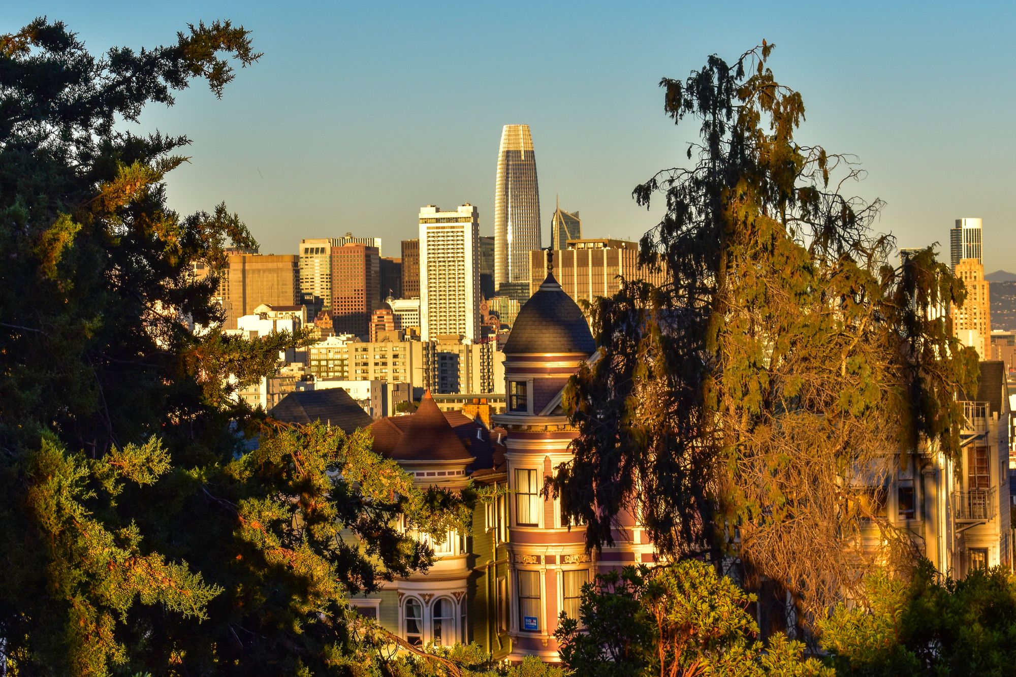 Day Around the Bay: SF Twitter Reacts to New Mask Mandate