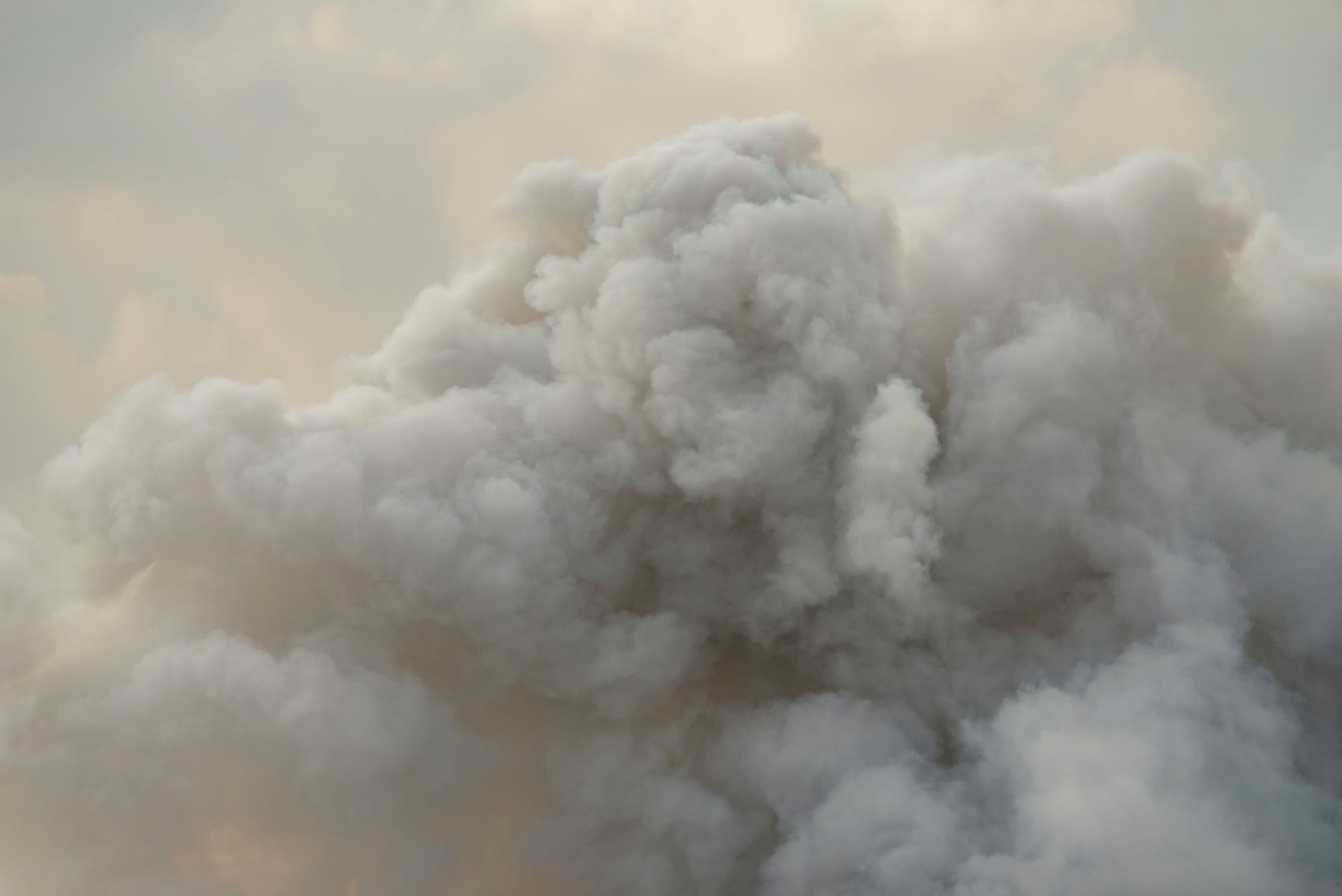 Day Around the Bay: West Coast Wildfires Possibly Responsible for Thousands of COVID-19 Infections