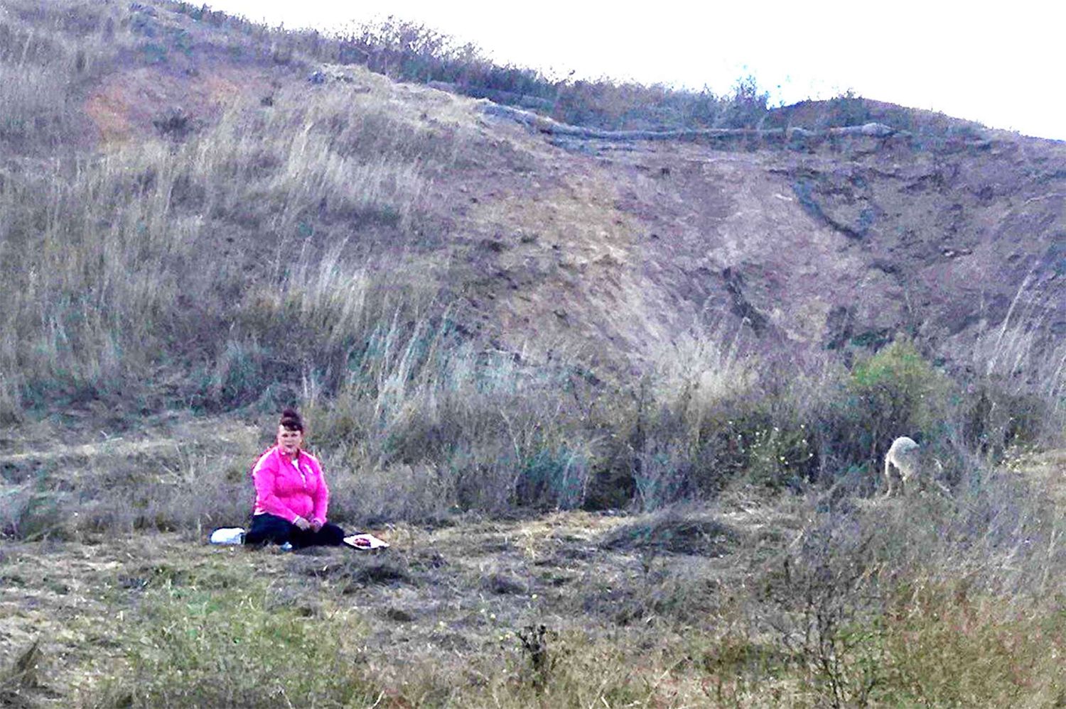 SF Animal Care &amp; Control Seeks Public&#39;s Help In Identifying Woman Who&#39;s Been Feeding Coyotes on Bernal Hill