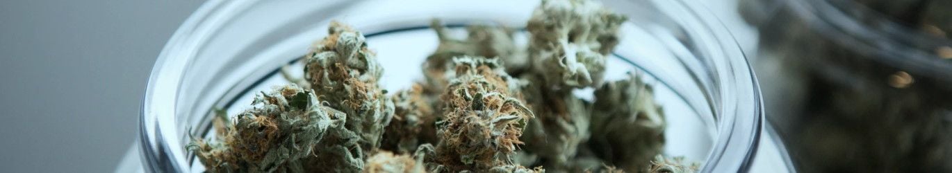 10+ Best Marijuana Delivery Services in Richmond (2023)