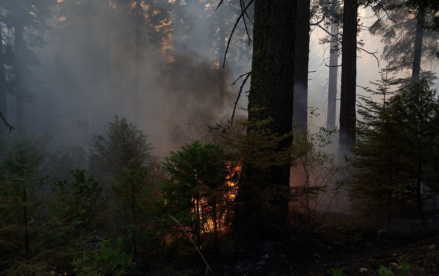 Monday Morning Headlines: Caldor Fire Grows to 104,000 Acres