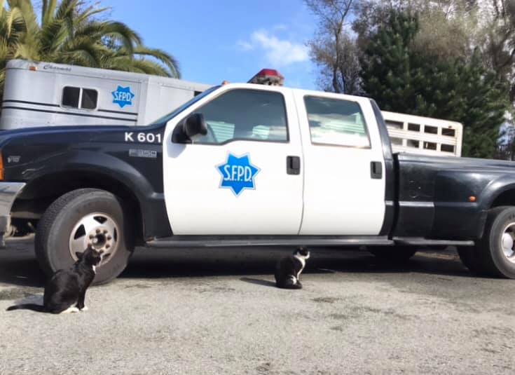 Video: Woman Sets Police Truck on Fire in the Tenderloin, Remains at Large
