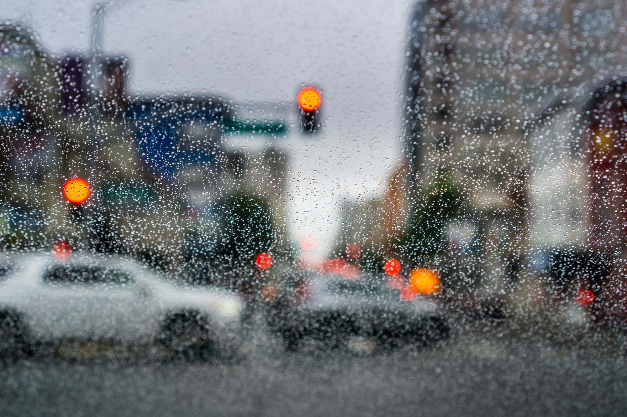Day Around the Bay: Rain Expected to Return Early Next Week