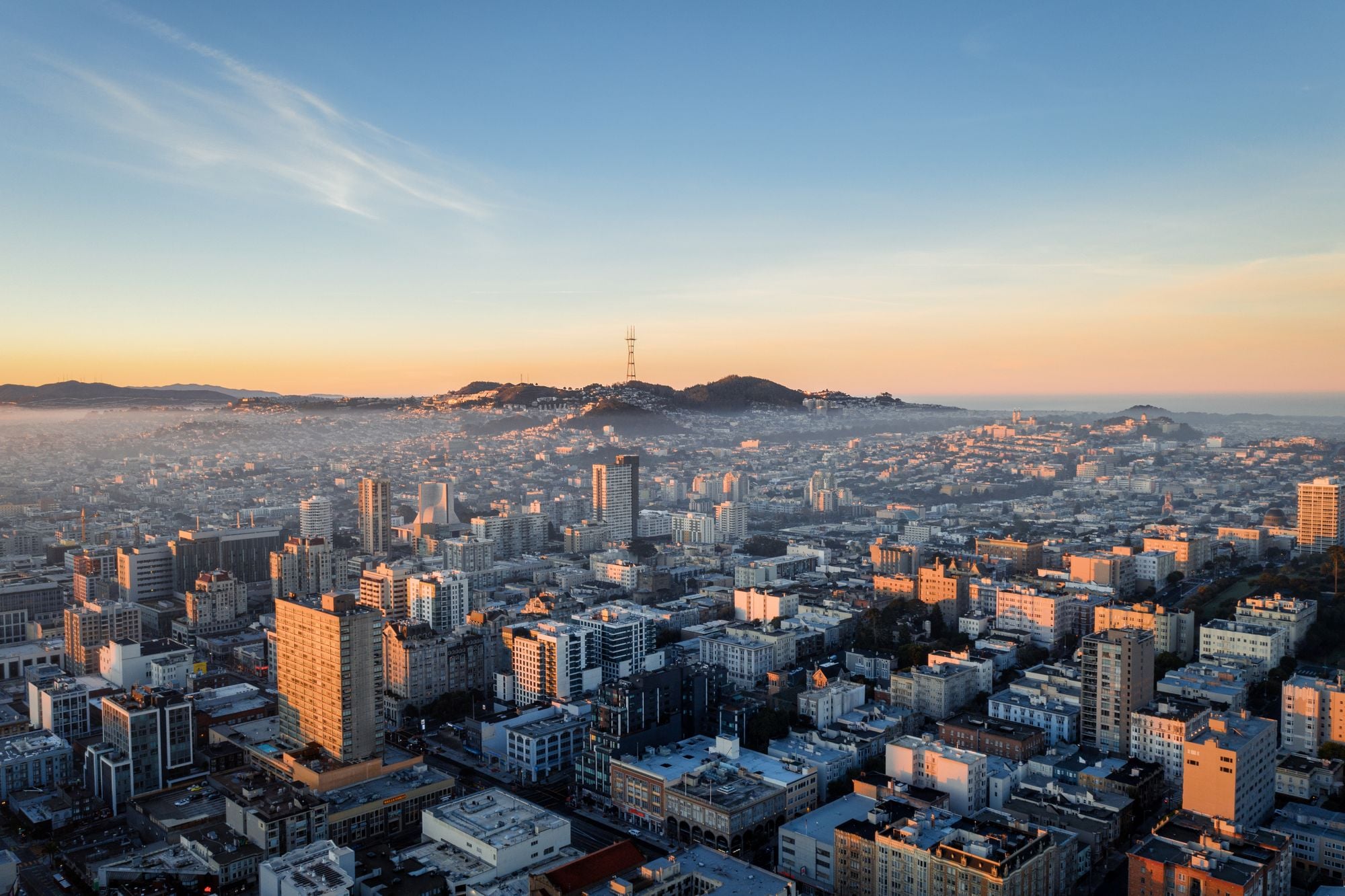 Day Around the Bay: Fleas Infest Two Oakland Schools