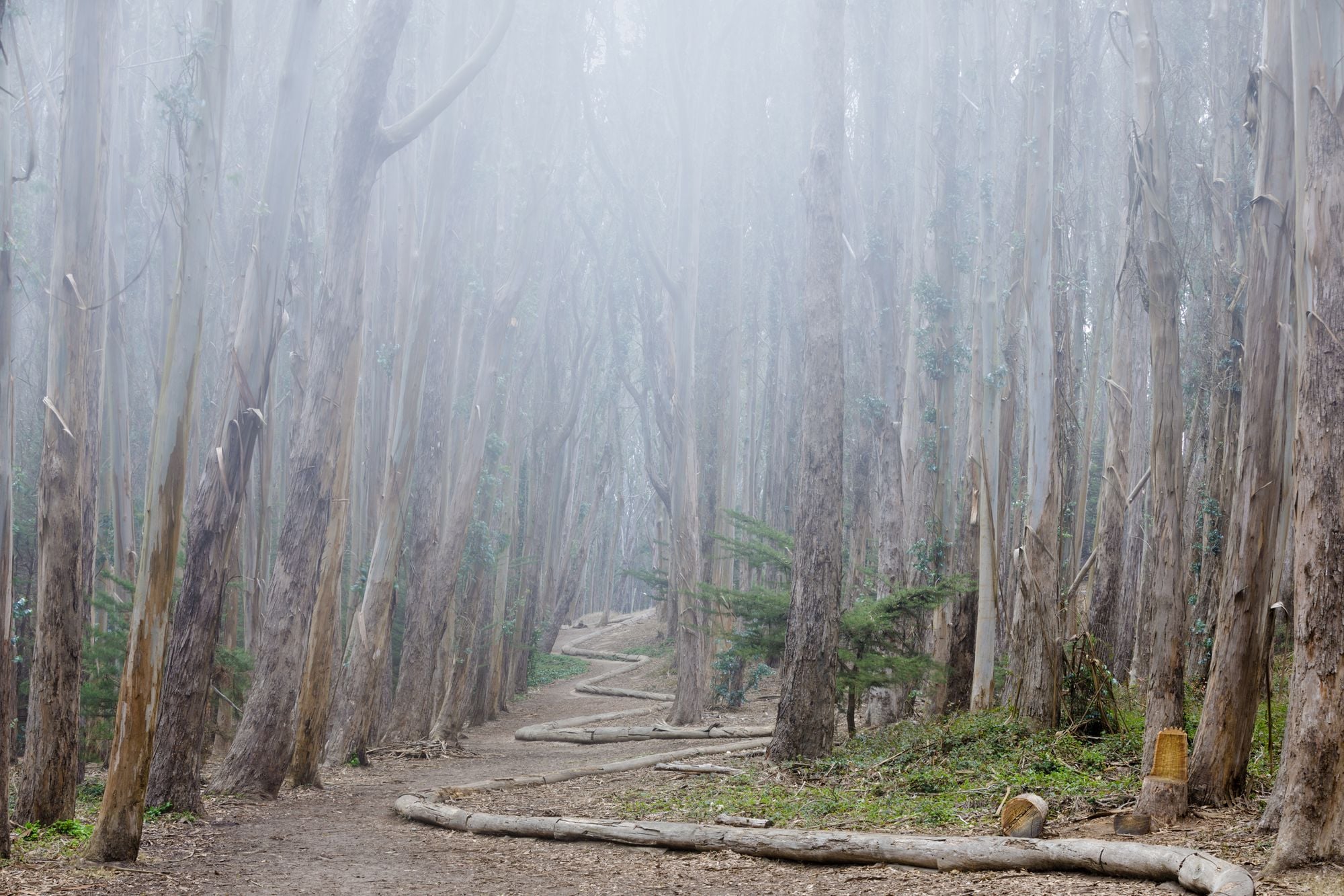 Saturday Links: Wildfire Smoke Continues to Haze Air Around San Francisco