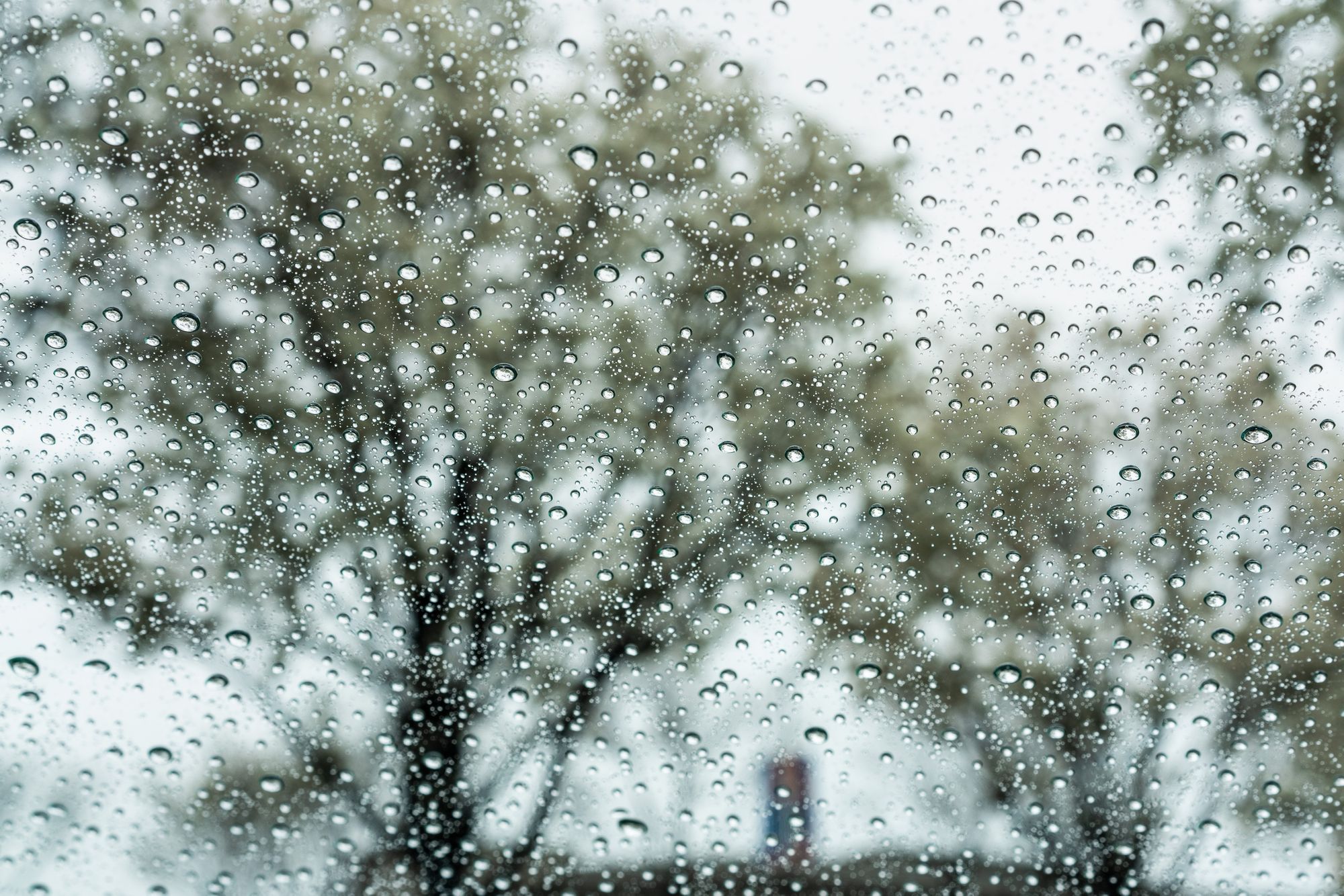 This Weekend's Rain Is Still Good News for Firefighters... But Will Mostly Miss Bay Area