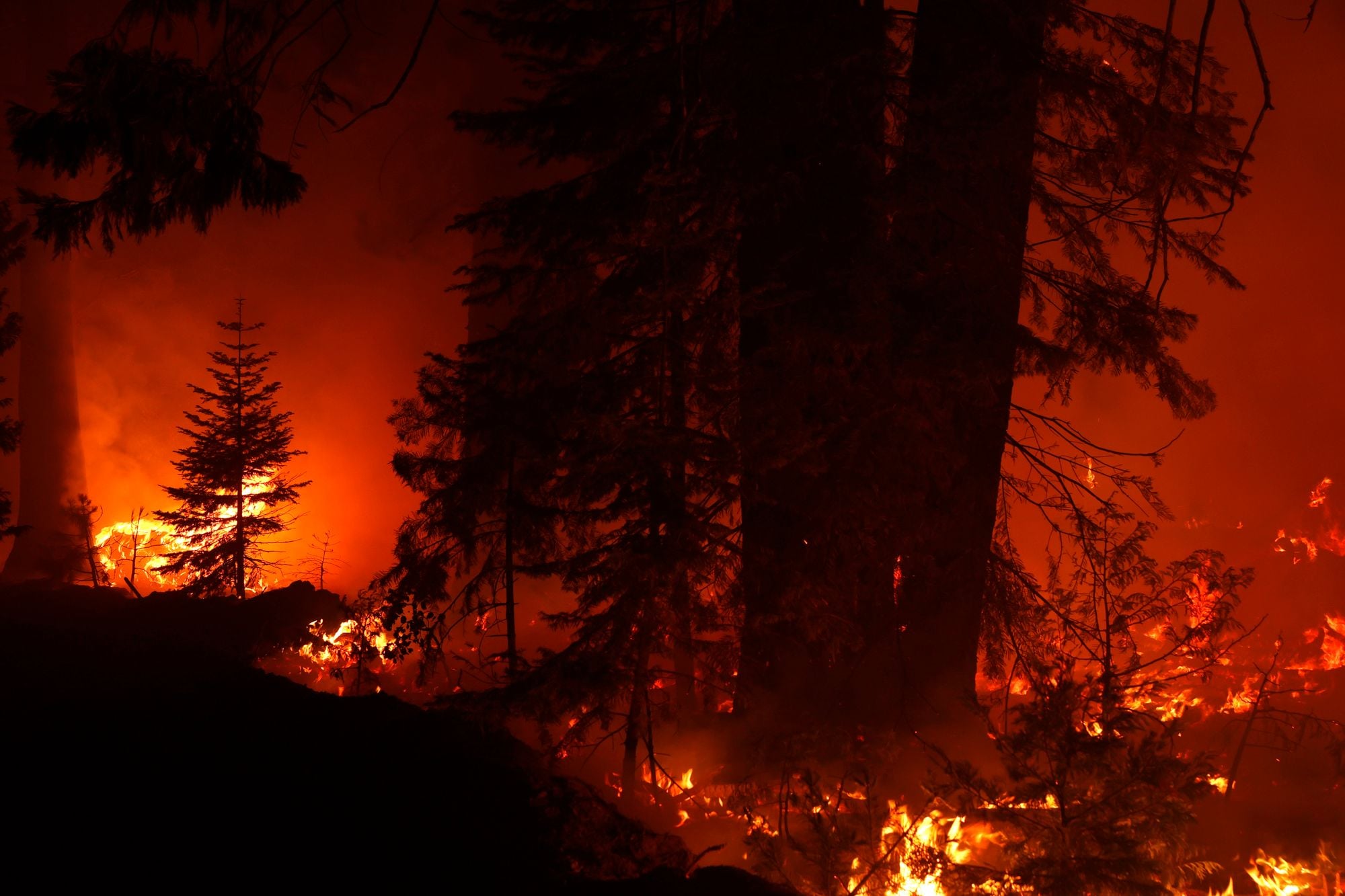 Day Around the Bay: There's a Possibility That the Caldor and Tamarack Fires Could Join Together