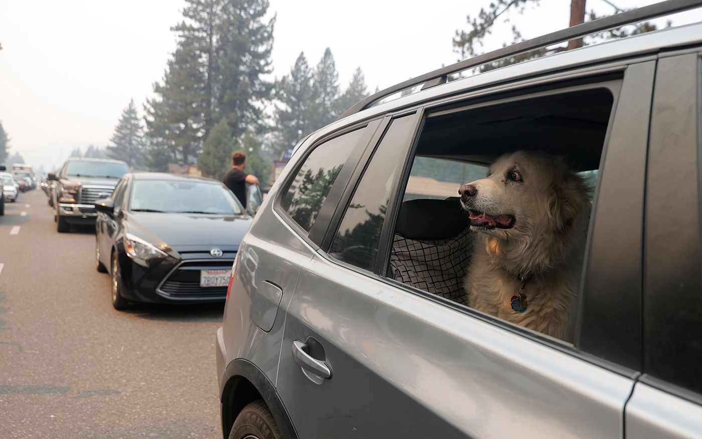 Evacuations Lifted In South Lake Tahoe As Winds Calm Down