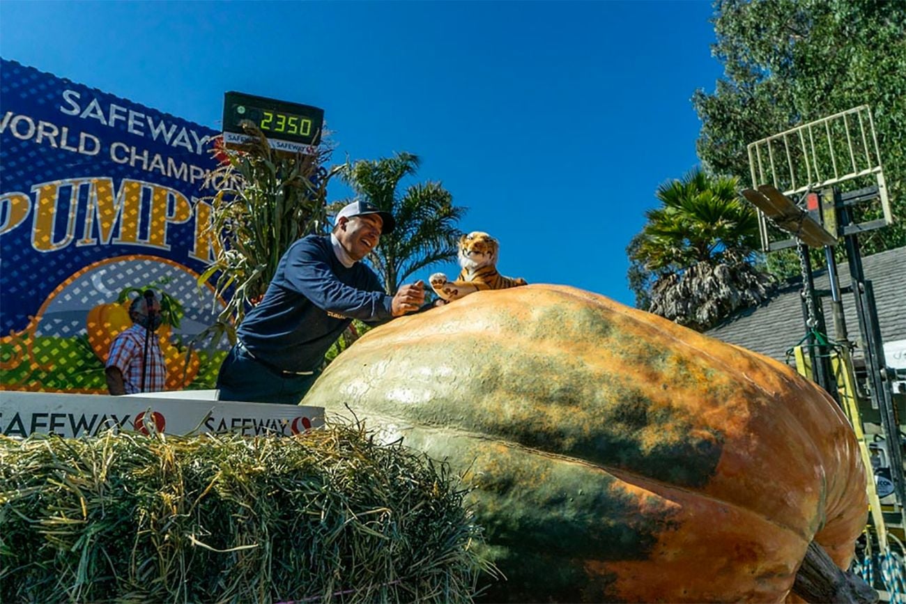 Half Moon Bay Calls Off Its Pumpkin Festival For Second Year, But Pumpkin Contest Will Happen
