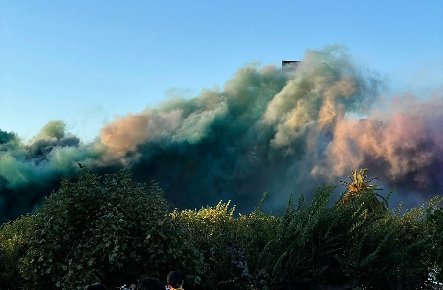 Photos: Judy Chicago's de Young Museum Performance Blankets Golden Gate Park With Non-Toxic Smoke