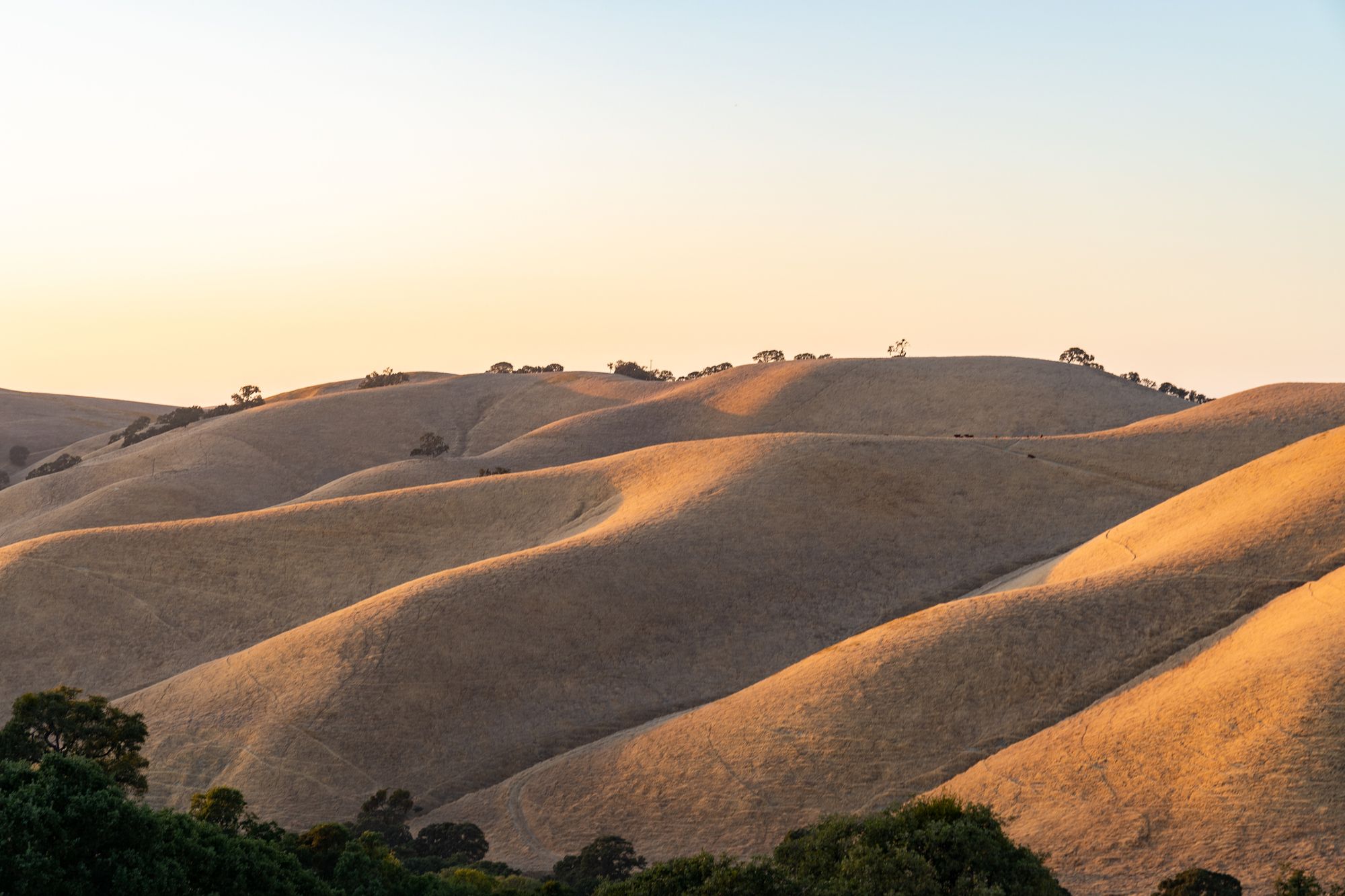 [Update] Red Flag Warning Issued for North Bay Mountains, Parts of East Bay