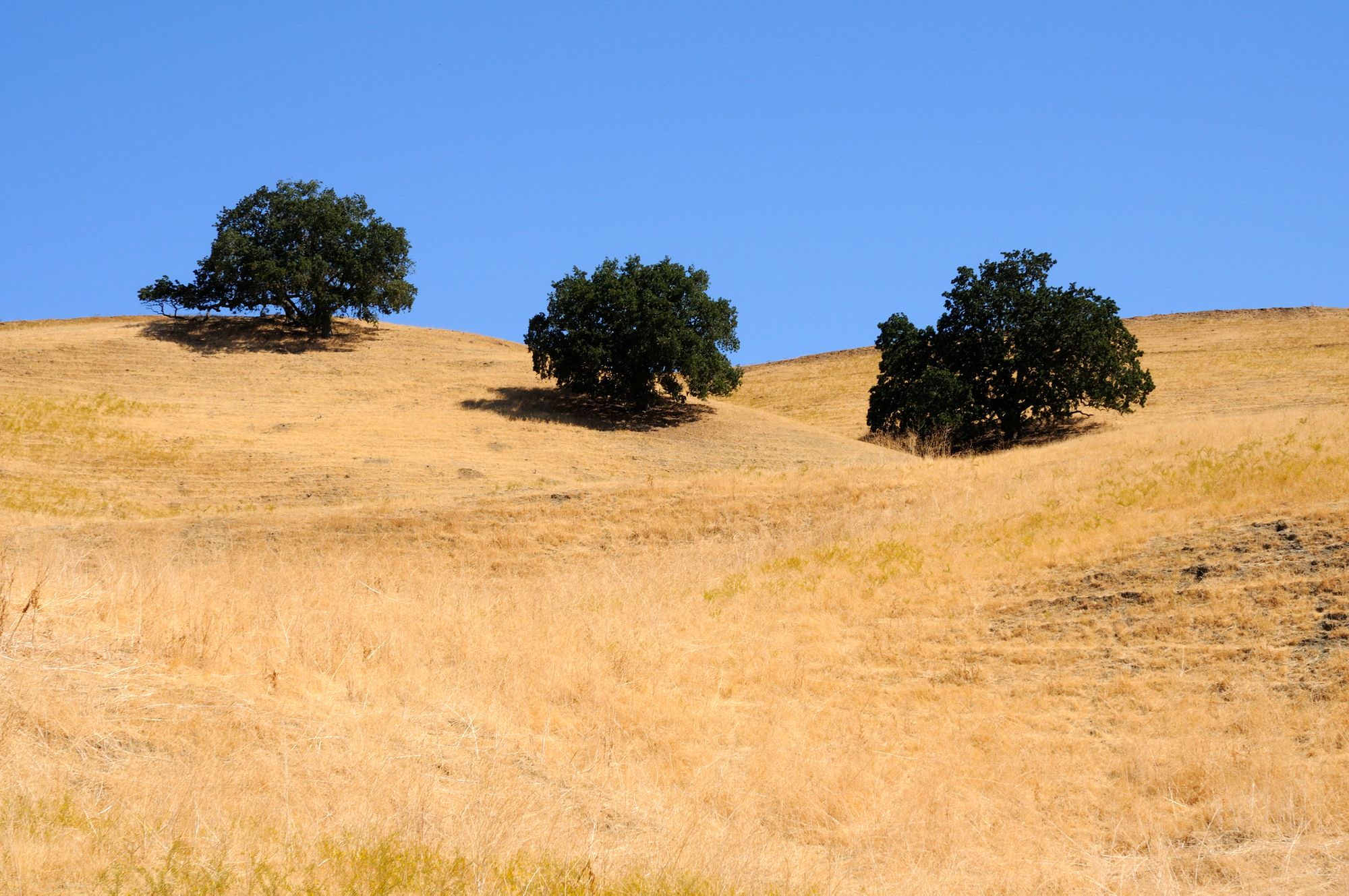 Saturday Links: 3.2M Earthquake Rattles East Bay