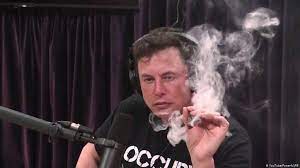Filings Show Elon Musk’s Stock Sell-Off Was Pre-Scheduled, Likely Unrelated to Twitter Poll