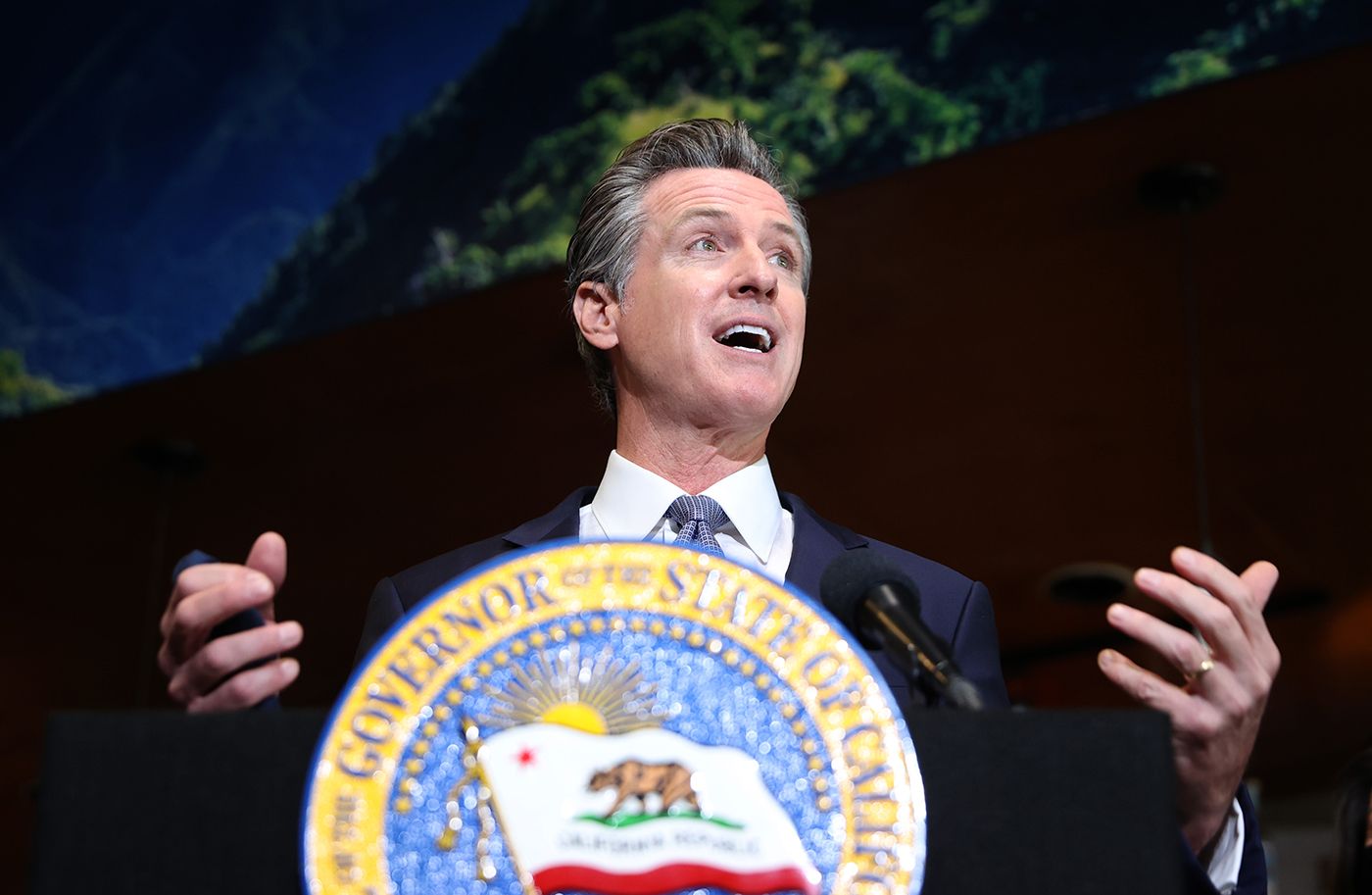 What 'Family' Issue Kept Gavin Newsom From Attending Climate Conference?