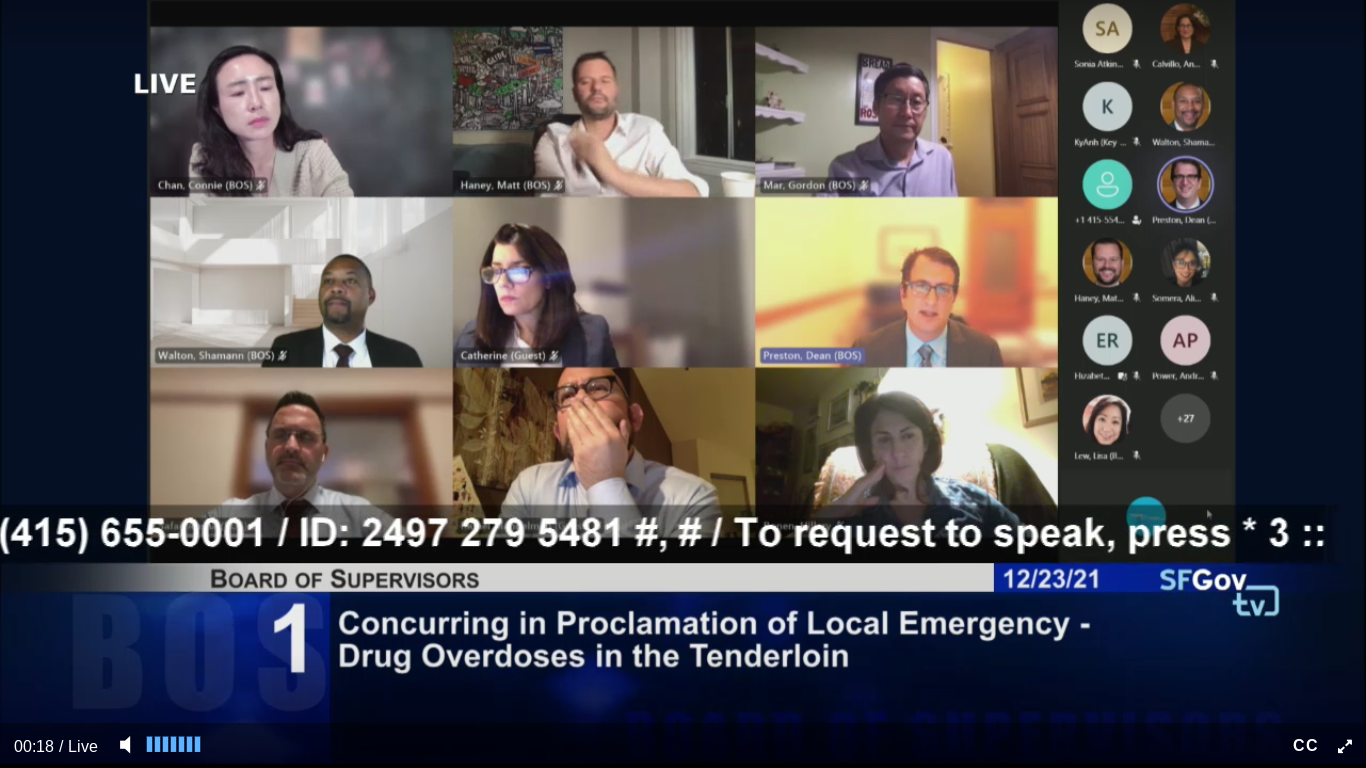 Supervisors Give Breed Her Tenderloin Emergency Declaration in Late-Night 12:30 a.m. Christmas Eve Vote