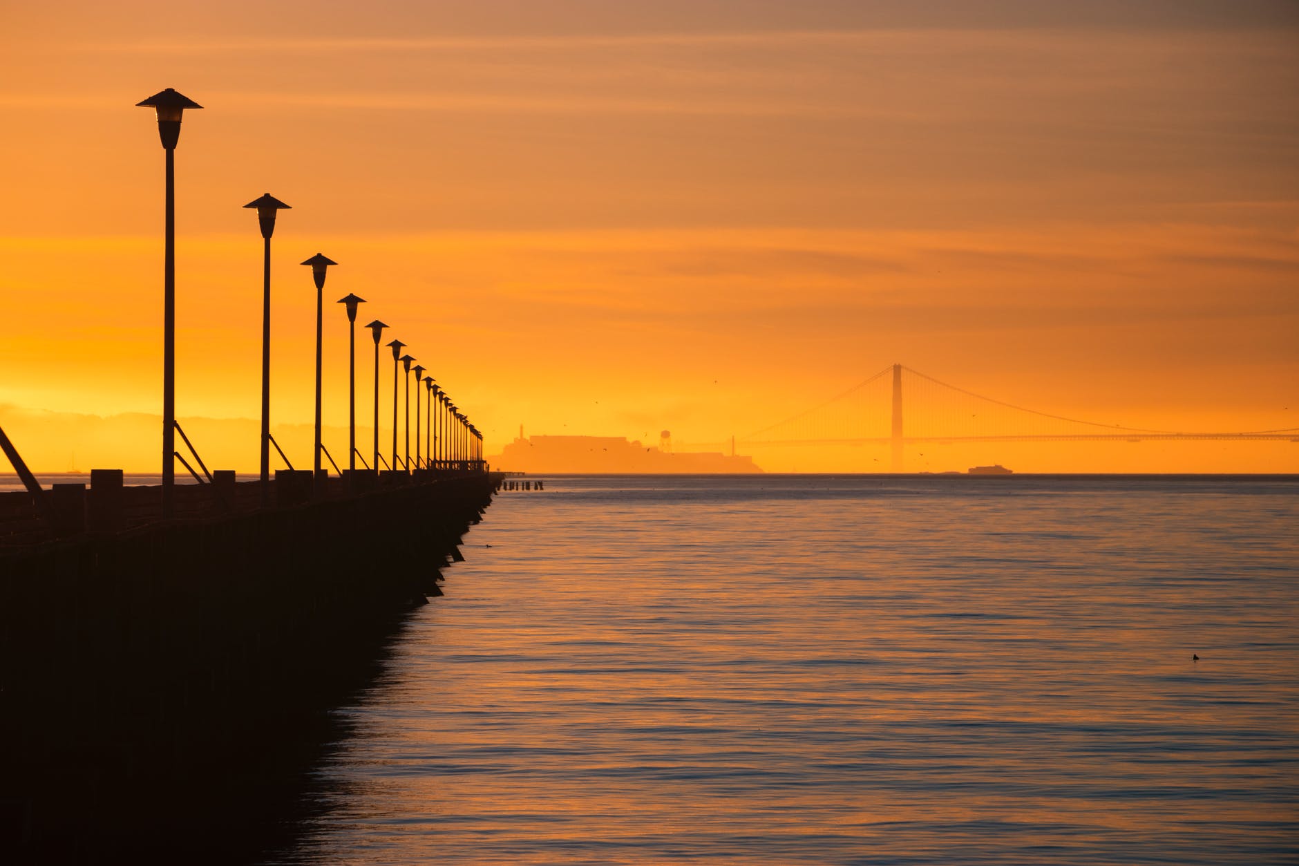 Day Around The Bay: Brace Yourself, Scott Peterson Might Get a Whole New Trial