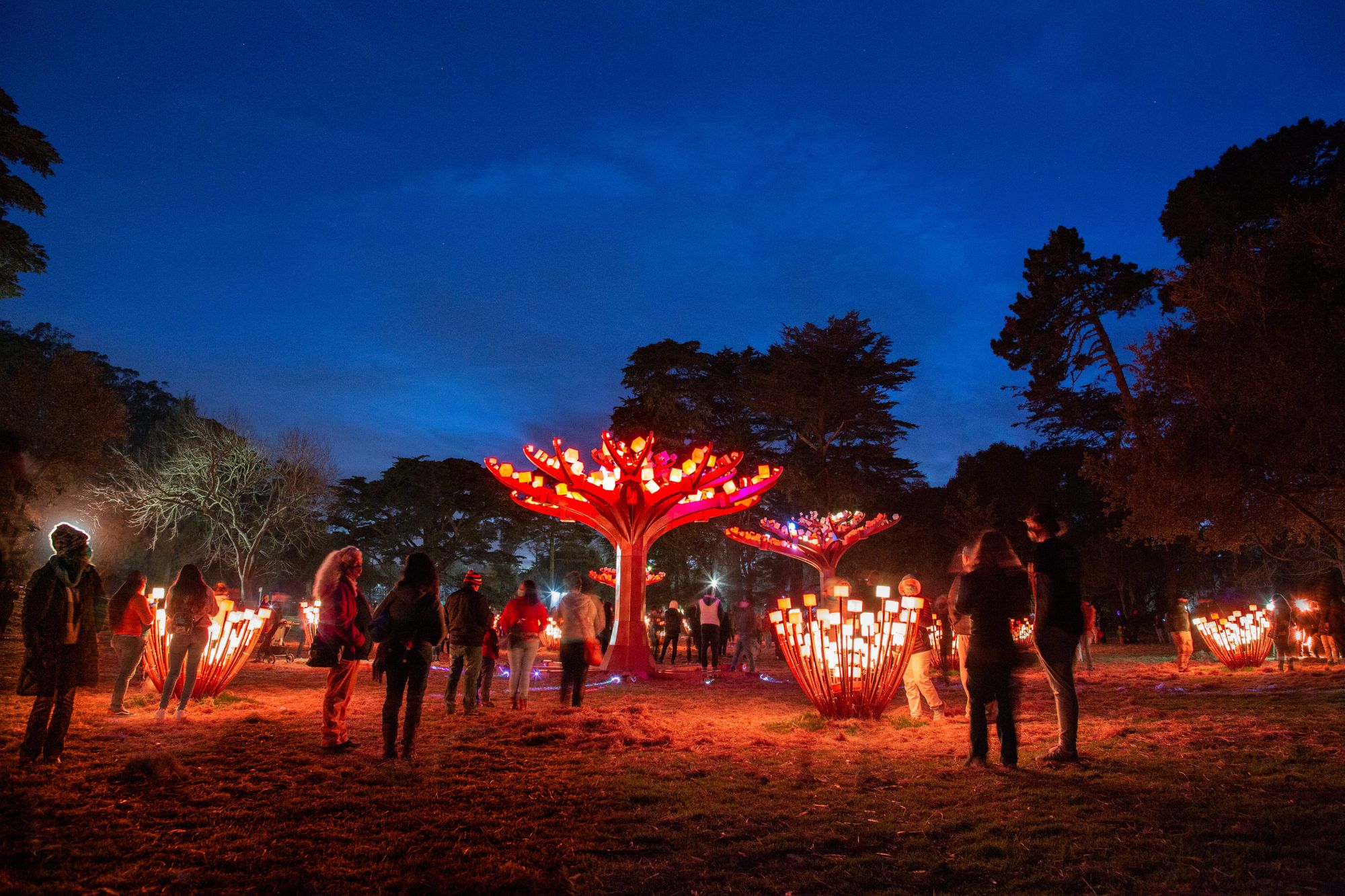 Day Around the Bay: Golden Gate Park's 'Entwined' Exhibit Gets Month-Long Extension