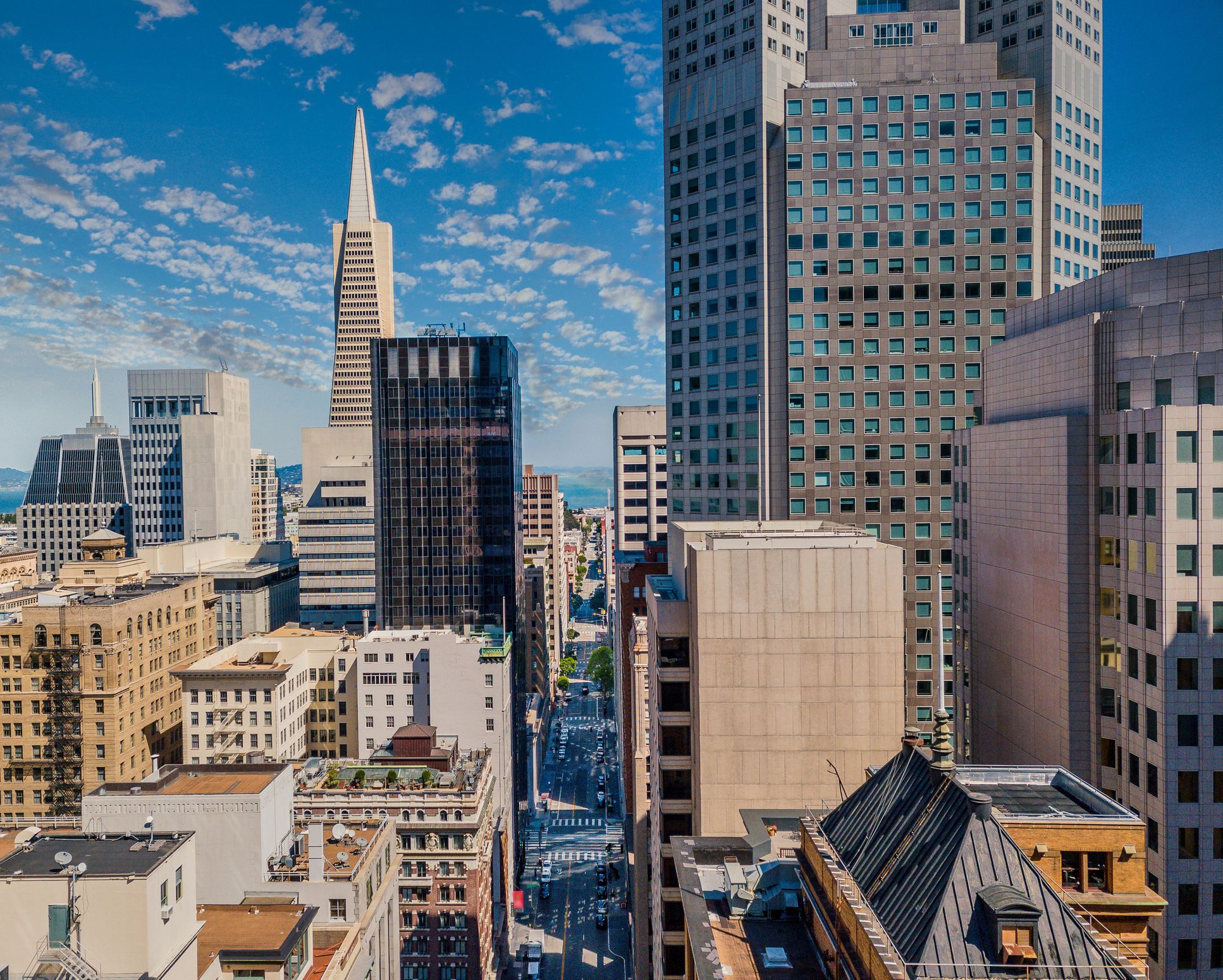 Financial District Sees Estimated 20% Drop in Foot Traffic Since Omicron Was First Recorded in SF