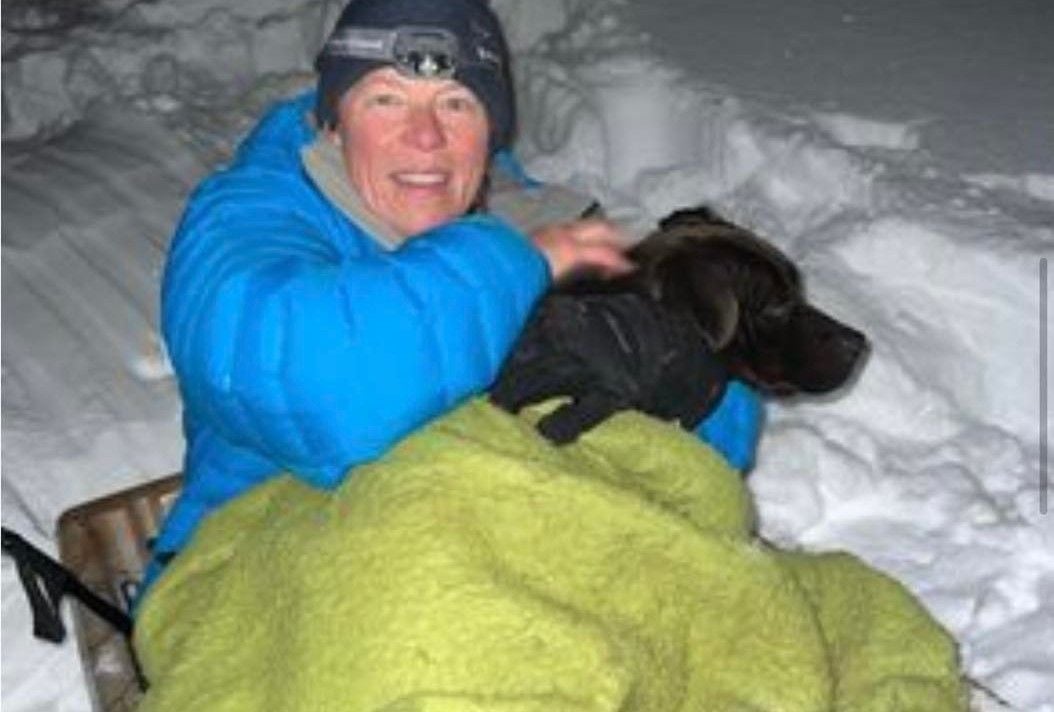 Very Good Dog Lost In Caldor Fire Turns Up Alive In the Snow, More Than Four Months After Disappearing