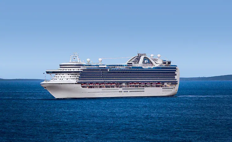 A Princess Cruise Ship Docked in SF Thursday Morning After a COVID Outbreak Onboard