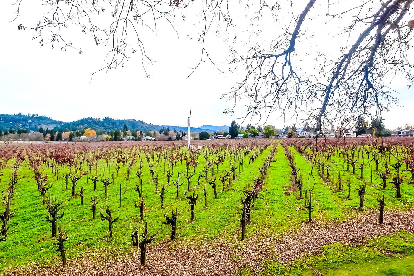 Tuesday Morning Topline: Napa County Reaches Full Capacity In ICUs