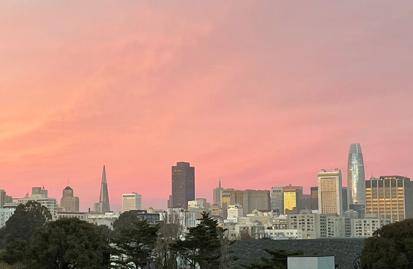 Day Around the Bay: Los Gatos 'Cool Mom' Shannon O'Connor Might Get Bail