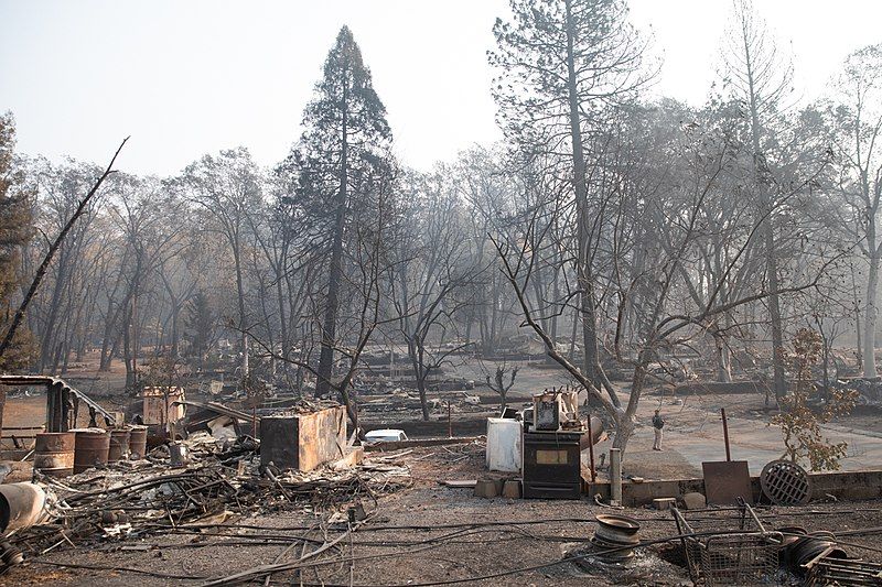 Alleged Sham Contractors Arrested for Unlicensed Work in Camp Fire Rebuild