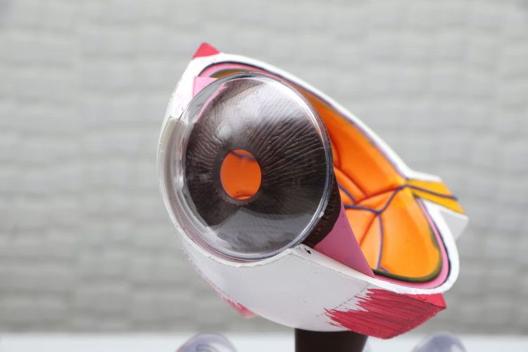 11 Top LASIK Eye Surgeons in SF For Effective Vision Repair