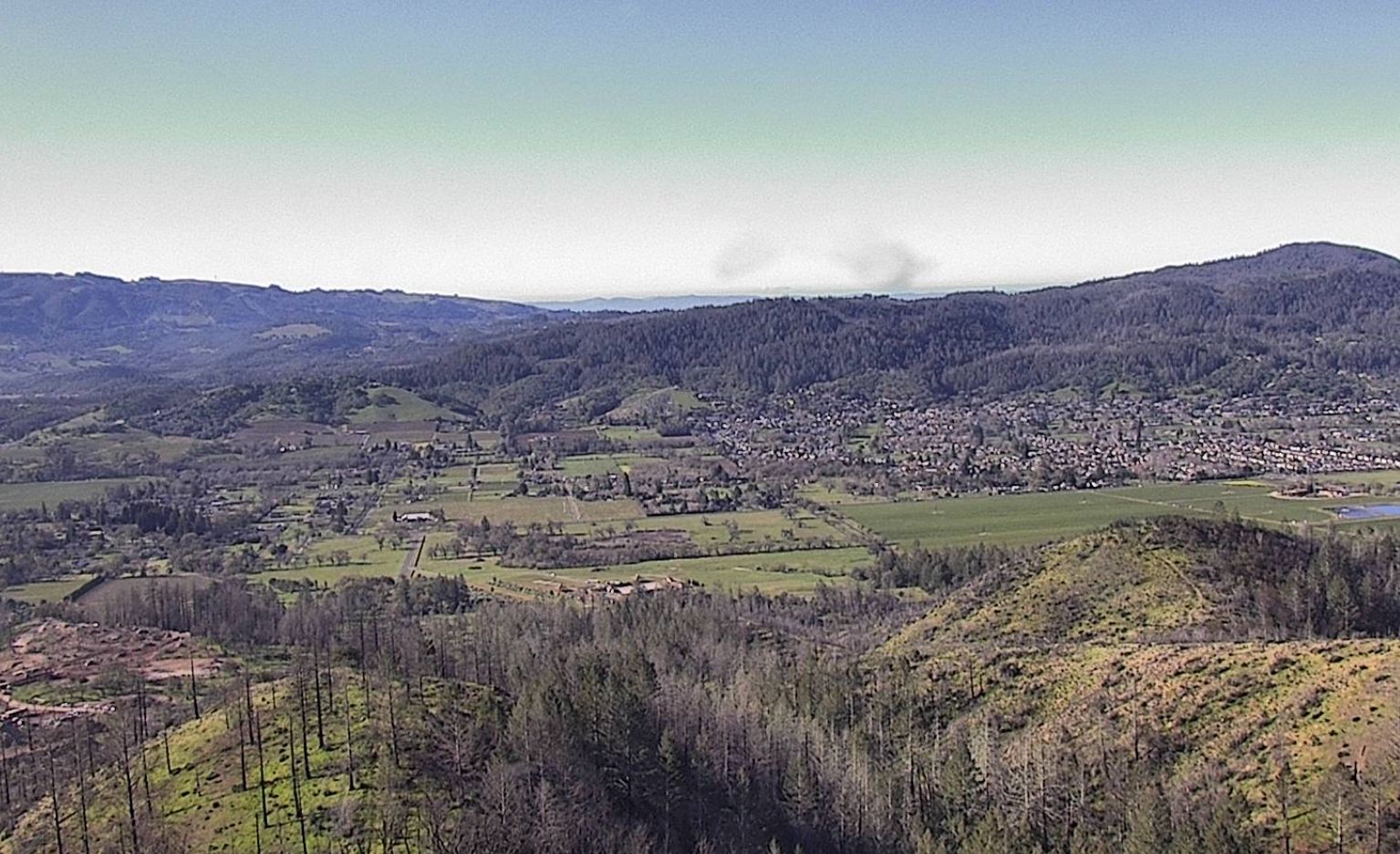 Thursday Morning What's Up: Small Wildfire Breaks Out In Deep Woods Near Guerneville