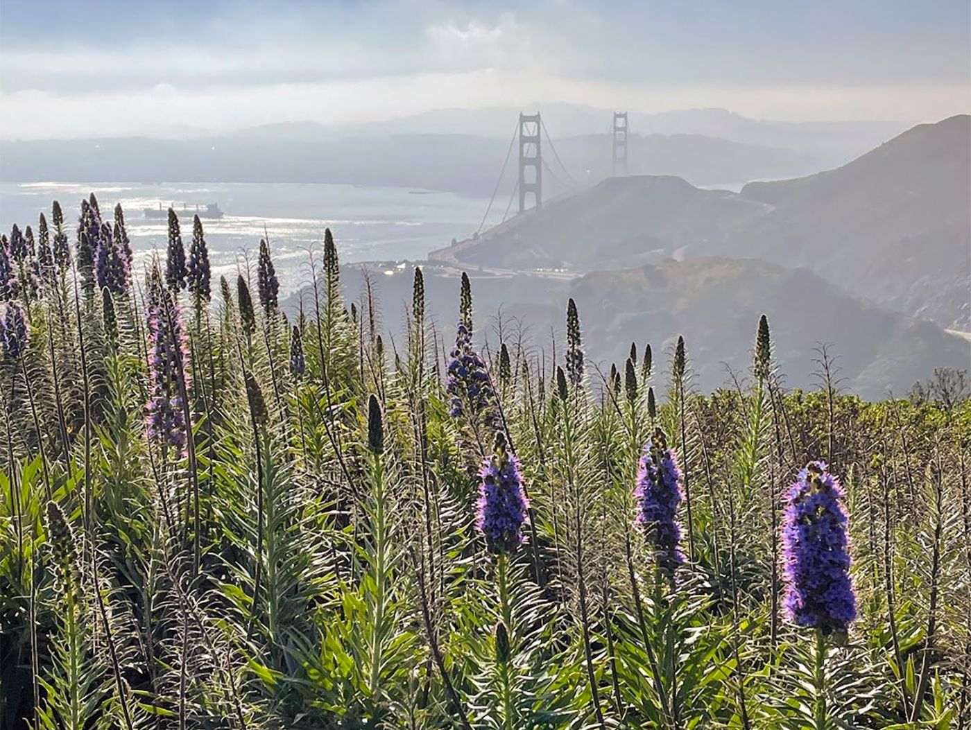 Day Around the Bay: High-Wind Advisory Issued For This Week