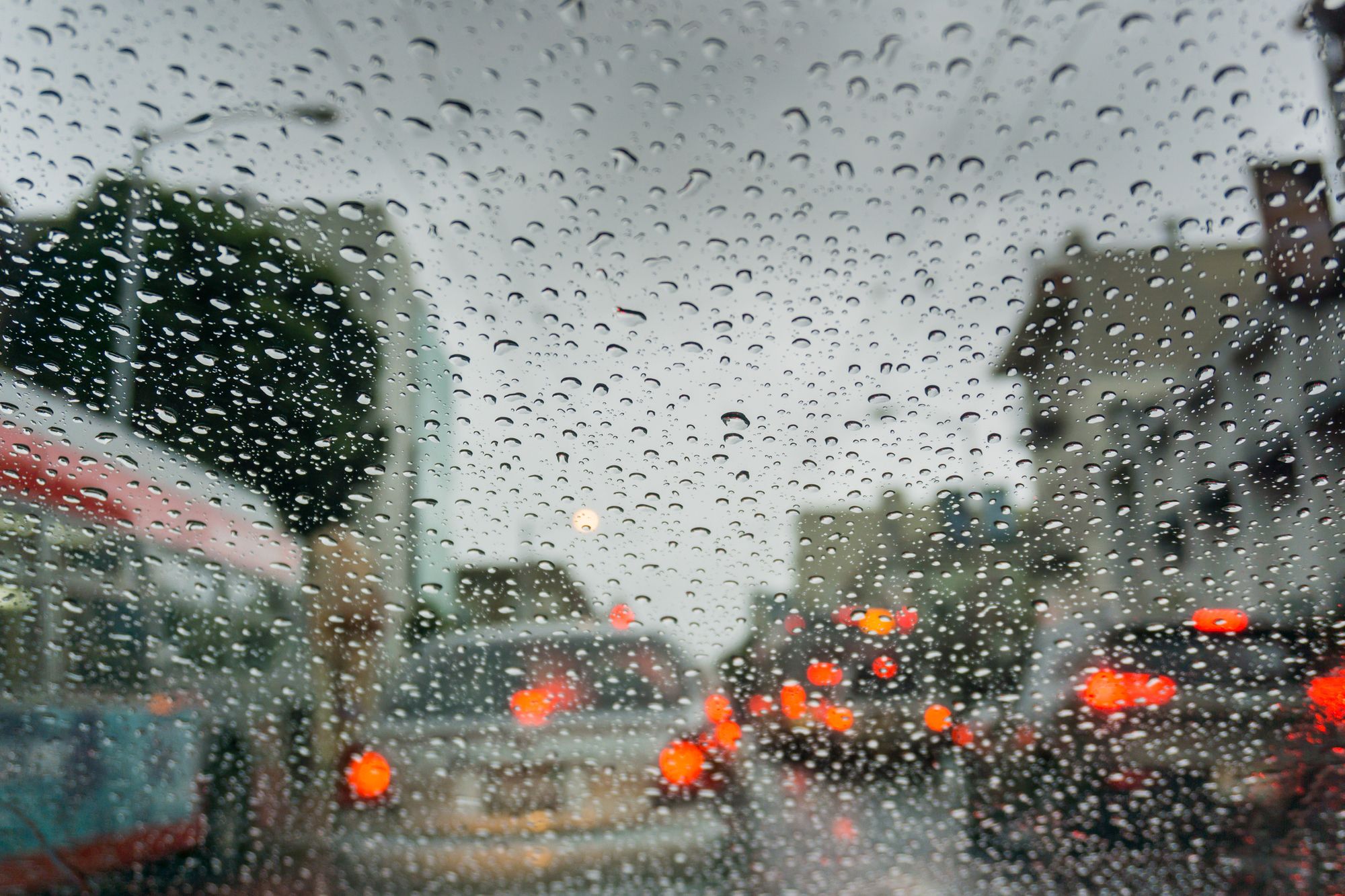 Sunday Links: Rain Finally Comes Down in San Francisco