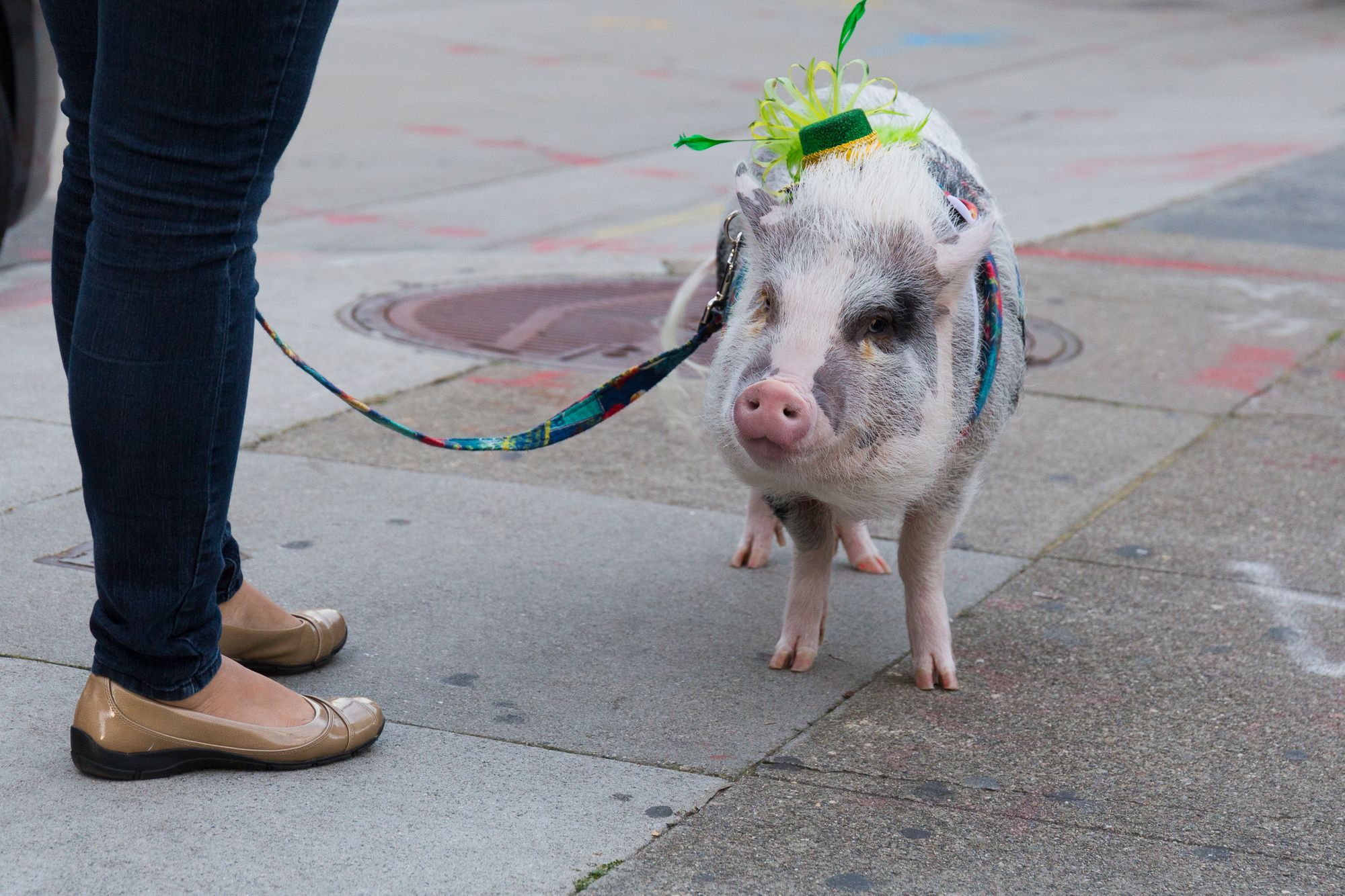 These San Francisco Streets Will Close Today for the St. Patrick's Day Parade