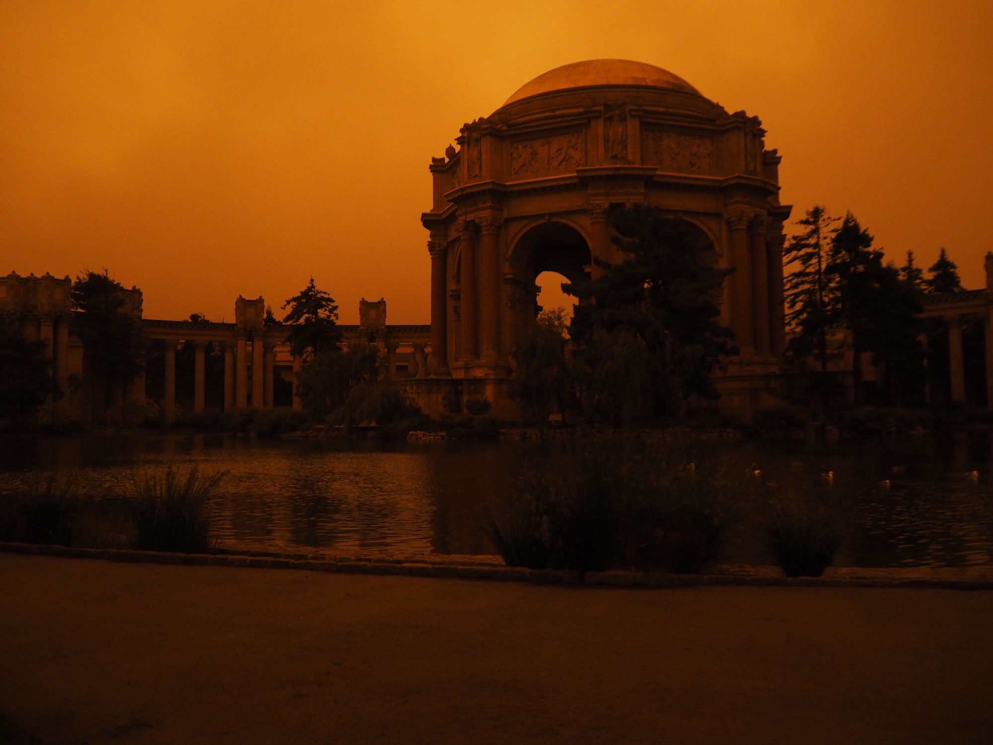 Report: Wildfire Smoke Could Double or Triple in Coming Decades, Causing More Wildfires