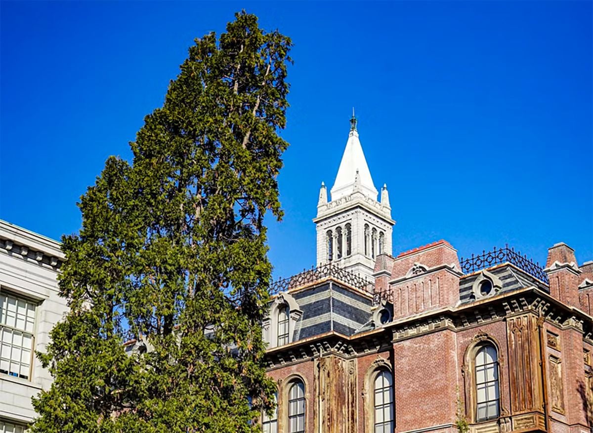 Tuesday Morning Topline: Newsom and Legislature Give UC Enrollment Reprieve