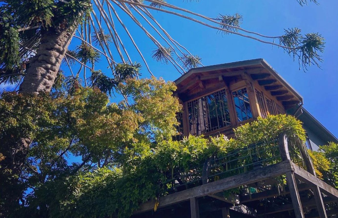 Chez Panisse Reopens For First Time In Two Years; Small Protest Greets Them From Next Door César