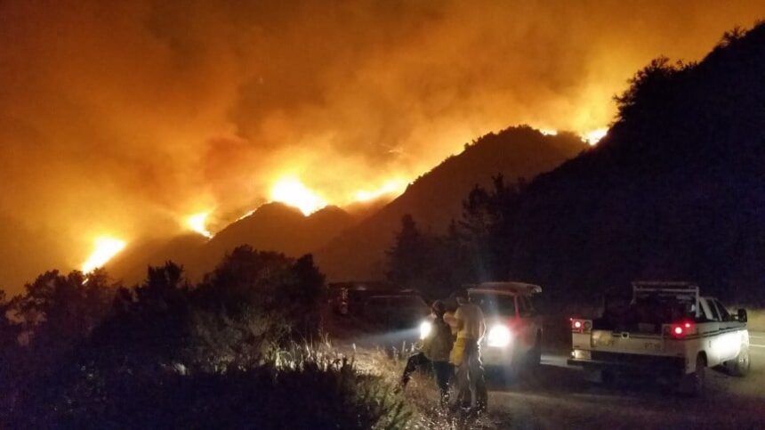 Illegal Marijuana Farmer Found Guilty for Starting the 2020 Dolan Fire