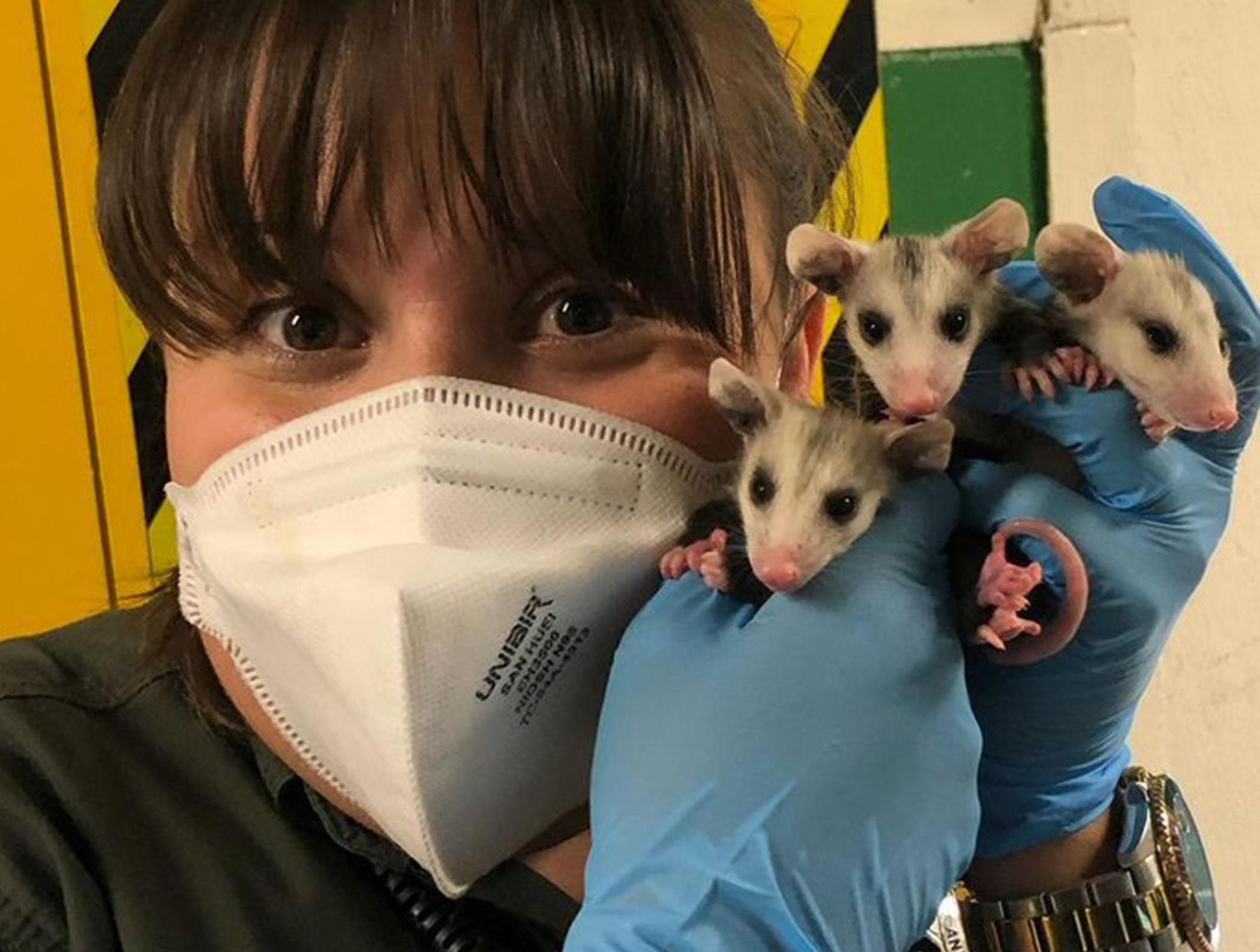 SF Animal Care & Control Is Getting a Reality TV Show