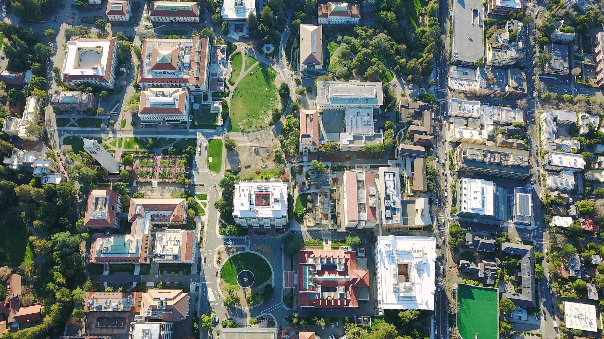 Day Around the Bay: One Day After Male in Famous Berkeley Falcon Pair Dies, Female Replaces Him With New Suitor