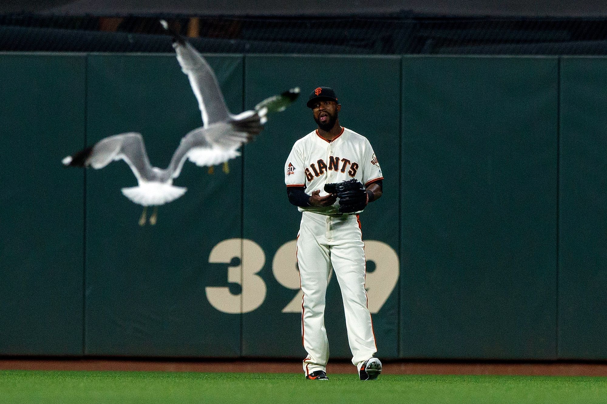 Oakland A’s Executive Gets Drawn Into Twitter Fight with Fictional Giants Ballpark Seagull