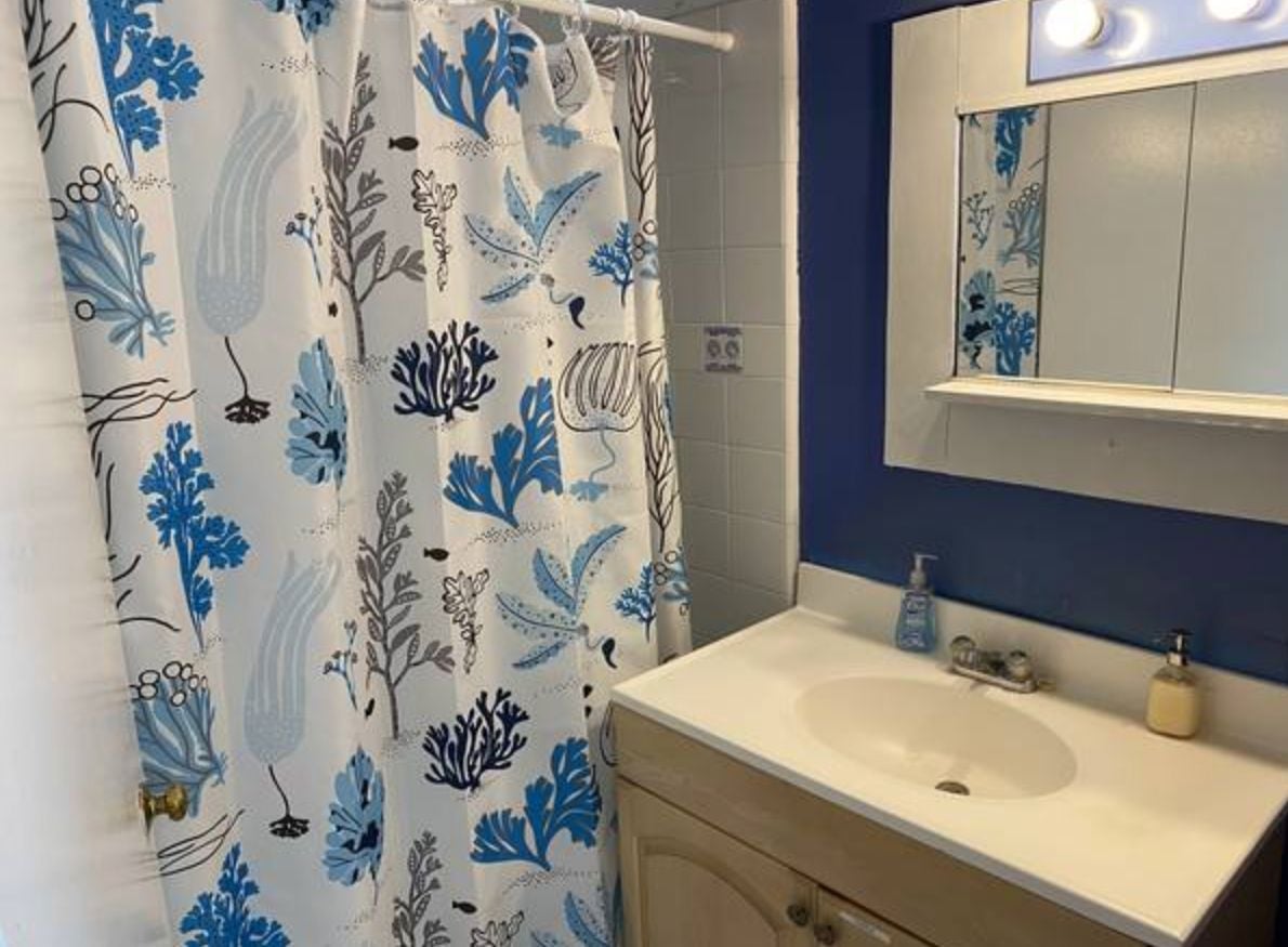 Apartment Sadness: 5-Bedroom With One Full Bath Seeks $10K Per Month