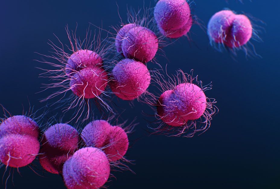Social Distancing Apparently Didn't Help San Francisco to Stop the Spread of Gonorrhea