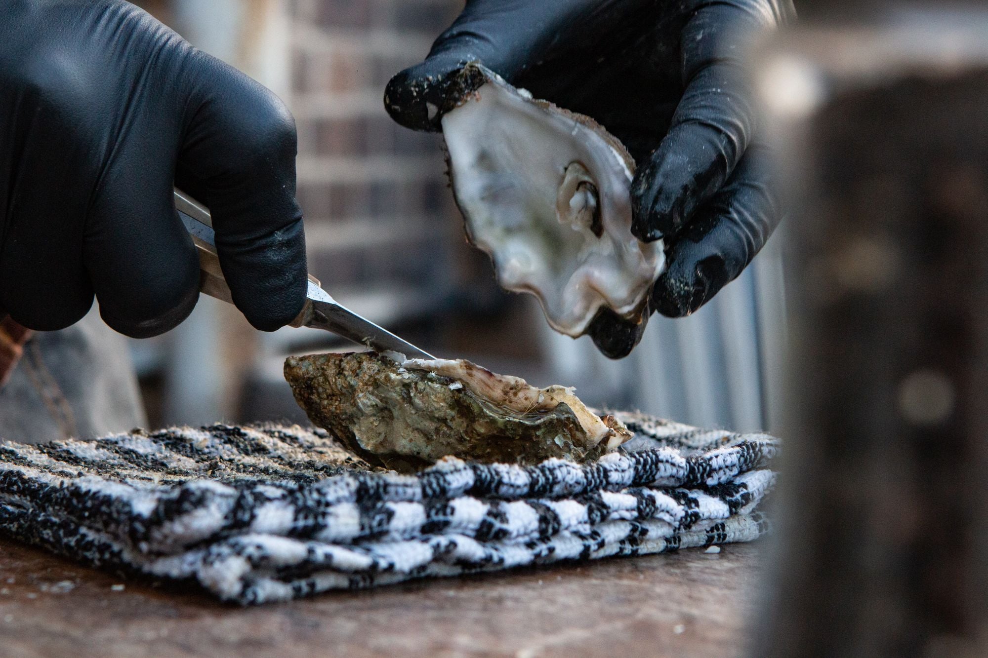 Norovirus From Contaminated Canadian Oysters Infects Dozens Across California