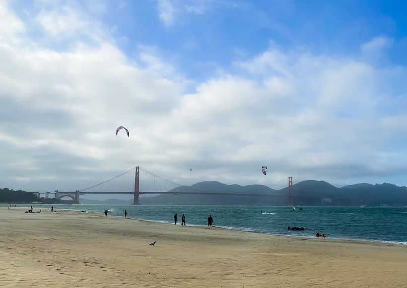 Day Around the Bay: Supervisor Stefani, Very Unsurprisingly, Endorses Boudin Recall