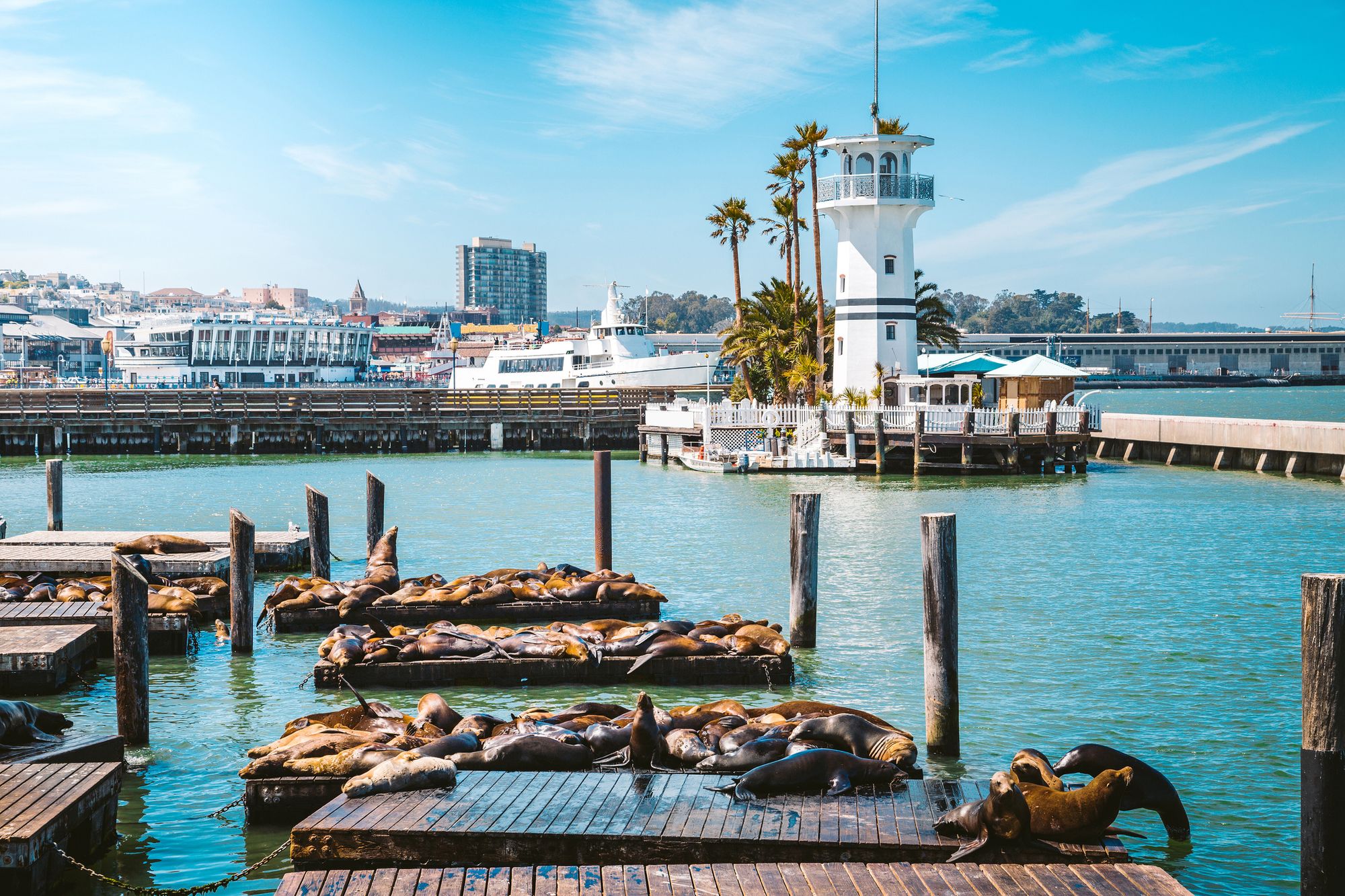 Saturday Links: SF Kicks Off Juneteenth Celebrations at City Hall With Community Events