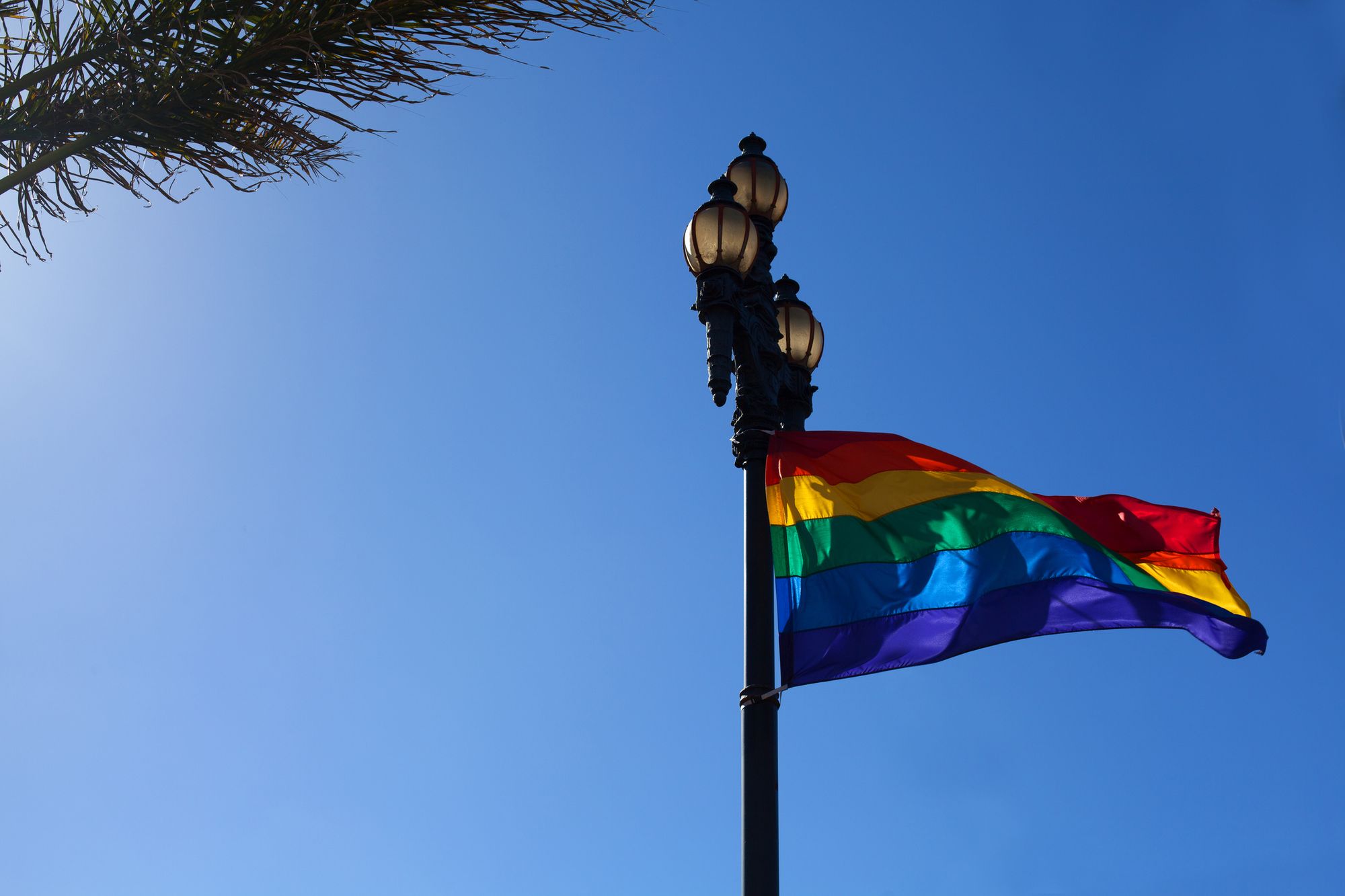 Saturday Links: San Francisco Lights Up in Celebration of Pride Weekend
