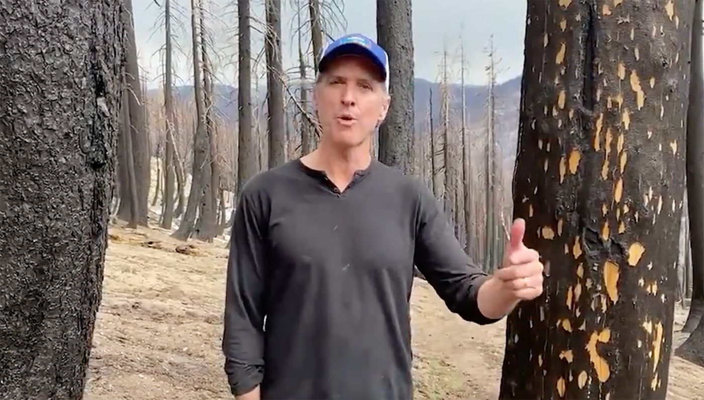 Gavin Newsom Runs to Fire-Charred Woods to Make Video Response to Supreme Court's EPA Decision