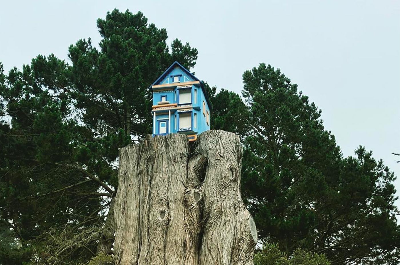 Miniature Victorian House on a Tree Stump In Golden Gate Park Sparks Curiosity, Tweets