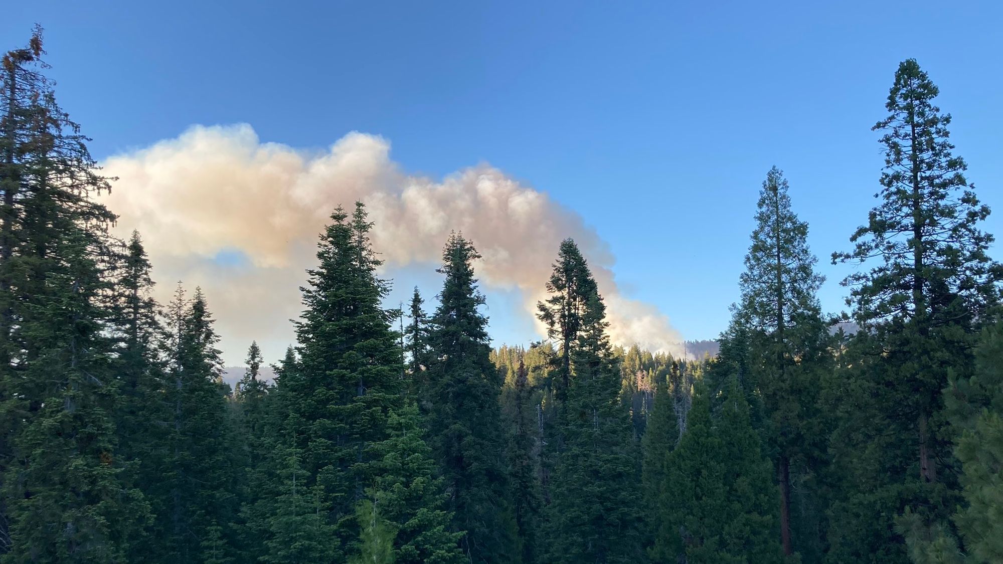 Growing Washburn Fire More Than Doubles in Size, Threat to Nearby Giant Sequoias Increases